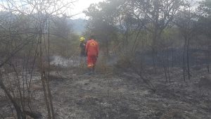 Controlan incendios en inmediaciones de Fusagasugá
